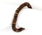 The Bead Chest Natural Coconut Shell Stretch Bracelet Brown Disk Wood